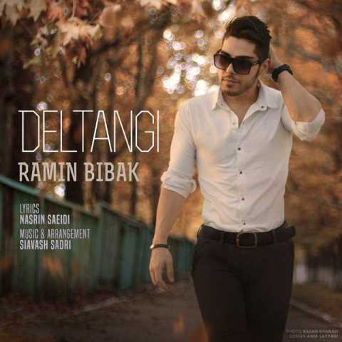 Ramin Bibak Deltangi